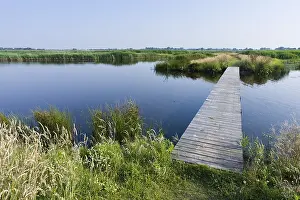 Waterplas Prints: Groene Jonker