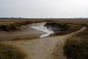 Slenk Prints: Het Zwin