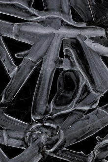 Night Frost Prints: Ice crystals
