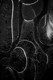 Night Frost Prints: Ice crystals