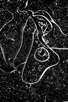 Night Frost Prints: Ice crystals