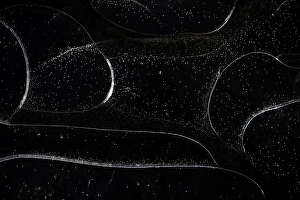 Night Frost Prints: Ice crystals
