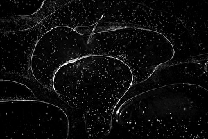 Night Frost Prints: Ice crystals