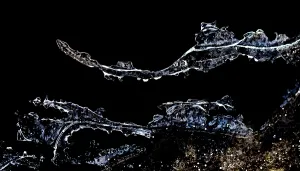 Images Dated 10th February 2017: ijs, ice