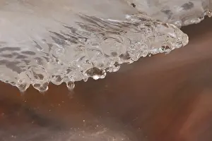 Bevroren Prints: IJs, Ice