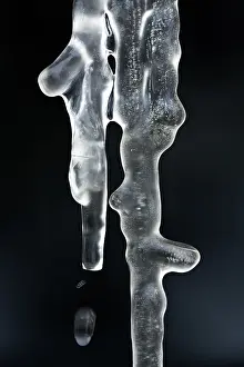 Images Dated 10th March 2013: IJspegel, Icicle