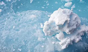 Images Dated 25th June 2014: IJsschots Spitsbergen; Ice detail Svalbard