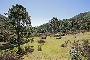 Images Dated 13th July 2008: Itatia NP