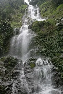 National Parc Prints: Kinabalu, Kinabalu