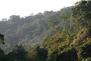 National Parc Prints: Kinabalu, Kinabalu