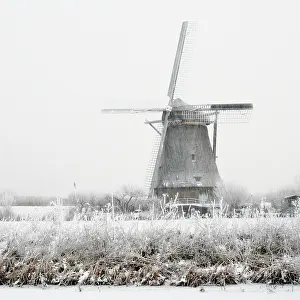 Molen Prints: Kinderdijk