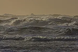 Images Dated 1st February 2008: Kust, Coast