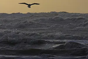 Images Dated 1st February 2008: Kust, Coast