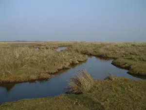 Schiermonnikoog Prints: Kwelder