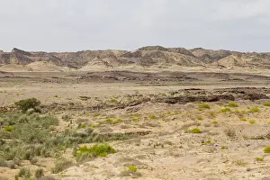 Images Dated 1st February 2013: Landscape of central desert of Oman