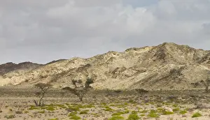 Images Dated 1st February 2013: Landscape of central desert of Oman