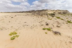 Images Dated 1st February 2013: Landscape of central desert of Oman