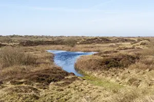 Images Dated 8th April 2007: Landscape at Texel
