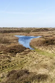 Images Dated 8th April 2007: Landscape at Texel