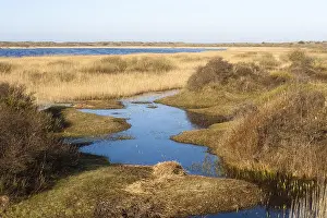 Images Dated 8th April 2007: Landscape at Texel
