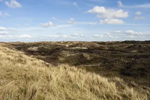 Images Dated 7th April 2008: Landscape at Texel