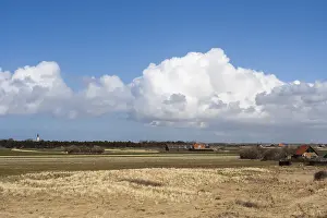 Boerderijen Prints: Landscape at Texel