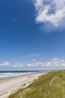 Images Dated 11th July 2009: Landscape at Texel