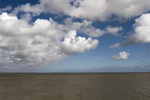 Ruimte Prints: Landscape at Texel