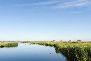2014 Prints: Landscape at Wormer- en Wisperveld