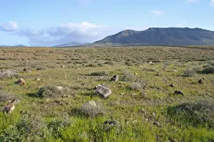 Bill Baston Prints: Landschap Fuerteventura; Landscape Fuerteventura