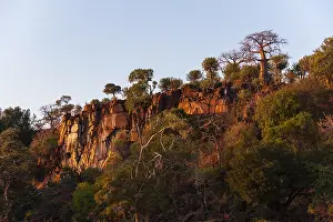 Images Dated 14th June 2013: Low angle view of cliffs, lined with trees including baobabs