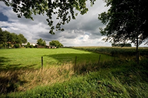 Farmhouse Prints: Maisveld, Cornfield