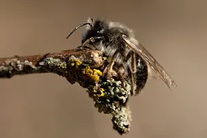 Images Dated 25th March 2012: manual updated