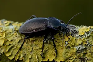 Images Dated 11th April 2012: manual updated