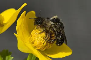 Images Dated 24th April 2010: manual updated