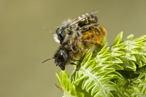 Images Dated 24th April 2010: manual updated