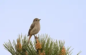 marc guyt marc guyt asia azie