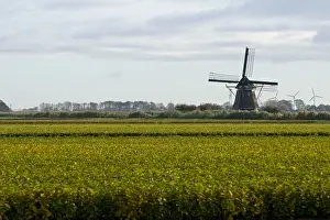 Images Dated 14th October 2009: Molen, Mill
