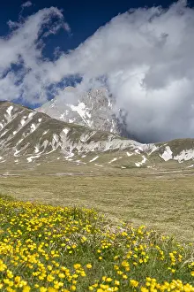 Vista Prints: Mountain Landscape