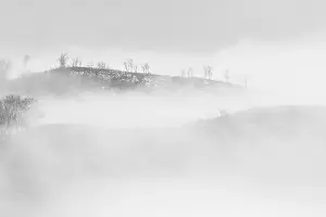 Vista Prints: Mountain landscape