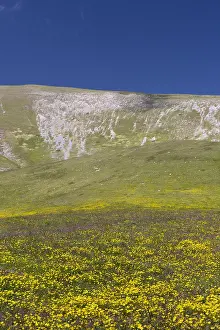 Vista Prints: Mountain Landscape