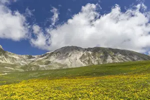 Vista Prints: Mountain Landscape