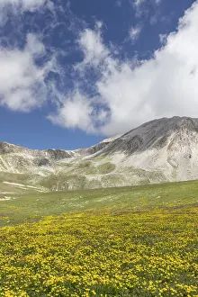 Vista Prints: Mountain Landscape