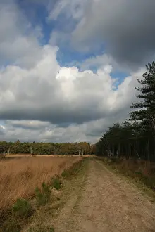 Wolkenlucht Prints: Neterselsche heide