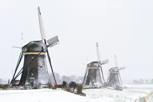 Culture Prints: Netherlands, landscape, snow, winter