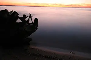 Images Dated 14th October 2007: Oderdelta, Oderdelta