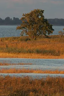 Images Dated 22nd October 2007: Oderdelta, Oderdelta