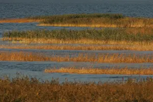 Images Dated 22nd October 2007: Oderdelta, Oderdelta
