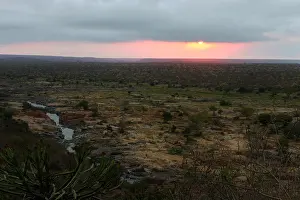 1980 Prints: Olifants, Krugerpark