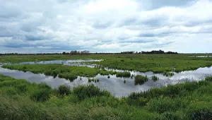 Images Dated 20th June 2015: Oostpolder